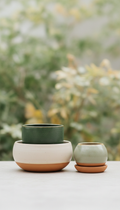 Artisanal Ceramic Planter Set with Botanical Relief